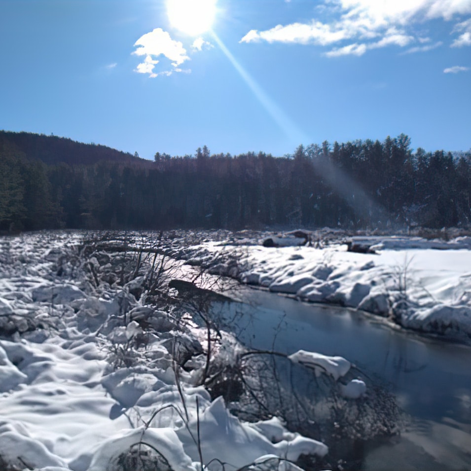 Winter view of Pelham Lake Park